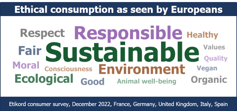 Nube de palabras que muestra los términos más asociados con el "consumo ético" en Europa: sostenible, responsable, medio ambiente, justo, ecológico, justo y respeto.